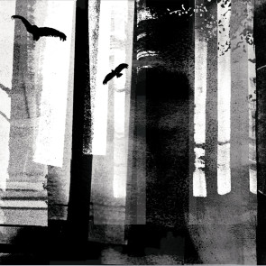 Aves Cubanas sobre Slad