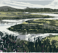 Swans, Incoming Tide