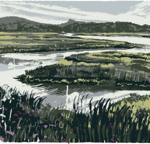 Swans Incoming Tide Swans Incoming Tide